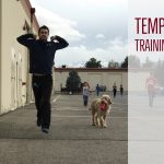 Tempo Training