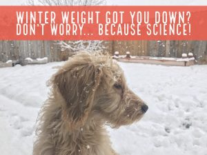 Winter Weight Gain