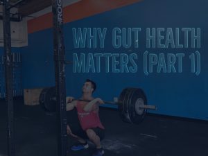 Why Gut Health Matters Part 1