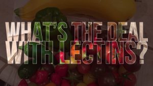 What's the deal with Lectins