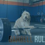 Barbell Rules